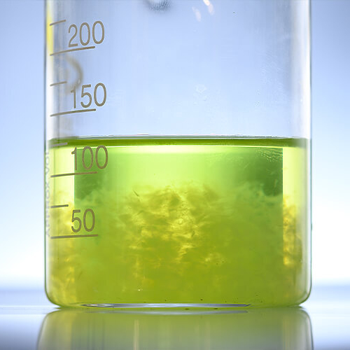Biofuel in beaker ready to be tested