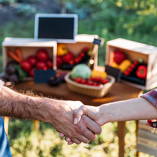 Farmers shake hands with fresh produce in the background
