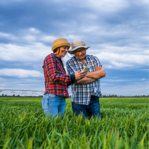 Two farmers review data standing in green field